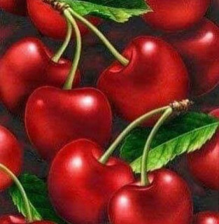 zhang_erly-___CQ8u4EBMUJS___-