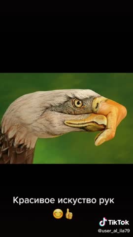 video-f732a545892f00dd35f70cd842fcb667-V