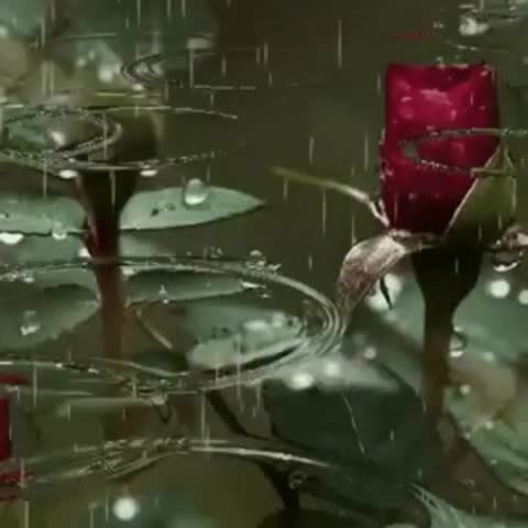 МЕЛОДИЯ_ДОЖДЯ_АЛЁНЫ_СУХОРУКОВОЙ__Rain_s_Melody___мелодия__музыка_дождь360P