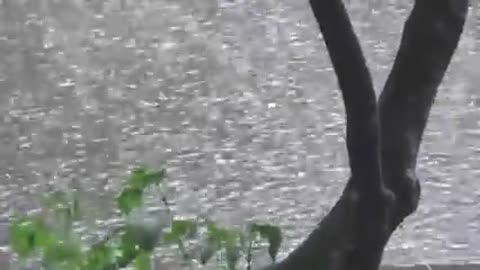Дождь_и_солнце____Музыка_Сергея_Чекалина__Rain_and_n__Music_by_Sergei_Chekalin240P