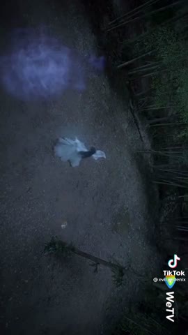 285a2418158112fddfe2113abee5133e