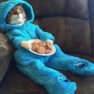 flufspot-___CRMce2wob6D___-