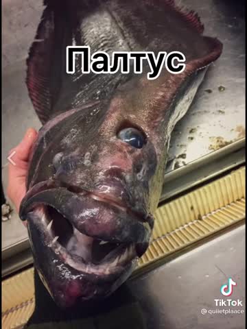 c7d5728d8946b2716c31411ee4955518