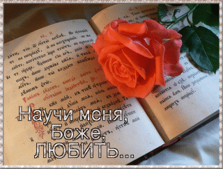 IMG_20210708_192445_7