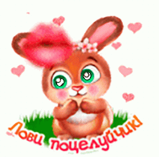 IMG_20210713_124414_44