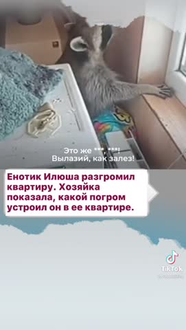 34670d00a04b70ca39a8bc8ea79a0e86