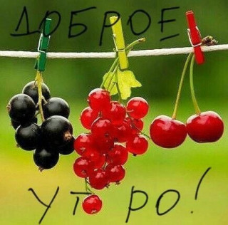 lopatinasvetlana1961-___CRQgJkaM6OG___-