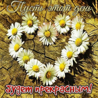sychevaliubov9385-___CRQbmWnM-jN___-