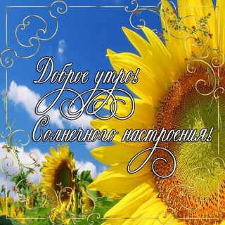 sychevaliubov9385-___CRQblCQsP71___-