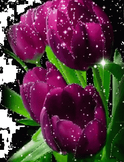 IMG_20210715_182133_62