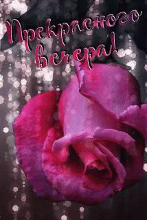 IMG_20210715_182016_36