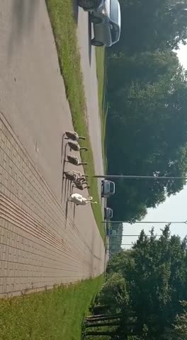 У центрального кладбища