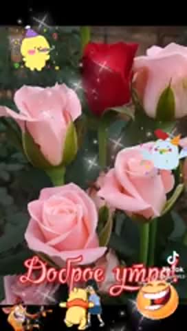 всем доброе утро