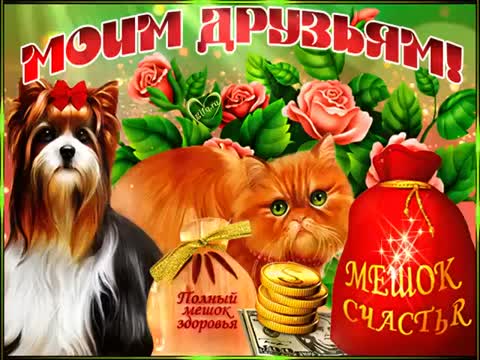 моим друзьям