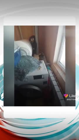 8e098893d542552eccc8bd0177244be92c845cc67aa2115f767e430c77ec53a9_1