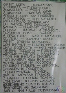 Зелёная_аптечка