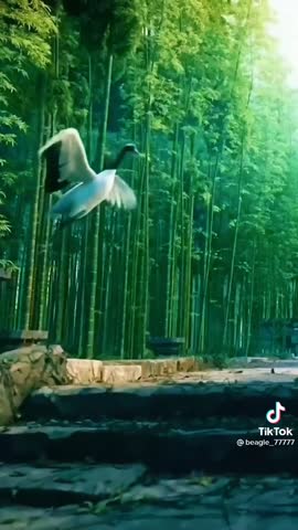 c749b787ea2fdb75f535e32244fc0940