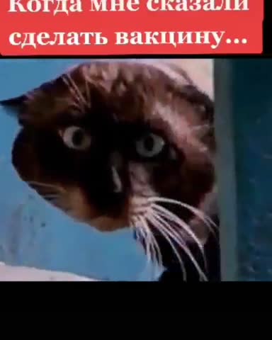 222323446_612510523469887_8388401092700002253_n