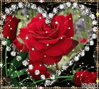 Flowers_GIF_-_Flowers_-_Discover___Share_GIFs