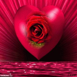 Reltado_de_imagem_para_IMIKIMI_LIVROS_BOOK___flores_de__