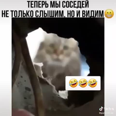 Привет Андрей