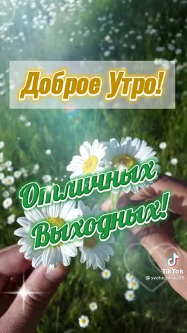 3b72c8953b6522ebe0a9548da9e1b00a