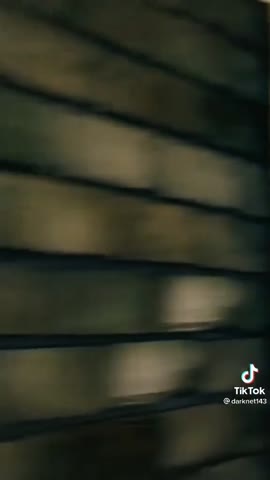 8b0695db-3e42-40cc-a405-c69d9ae48c1b