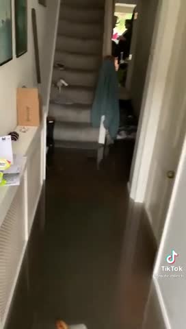 e1e89c2960837cc9685381177a9ec85d