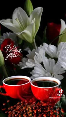 доброе утро