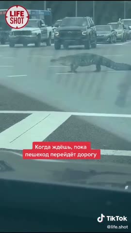 849f2726d34050510e79a7c423975b30