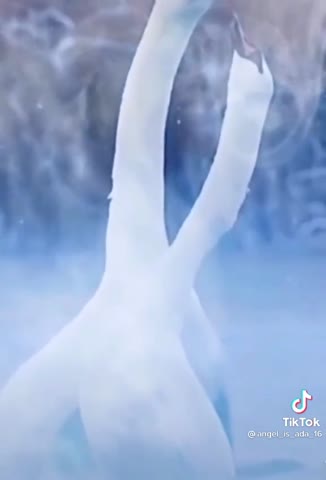 video-692f1c51b1bdc09047bb478f085c89e2-V