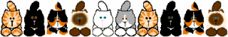 82
