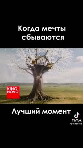 a843bcec4e458a1ffb351c677336cc0d