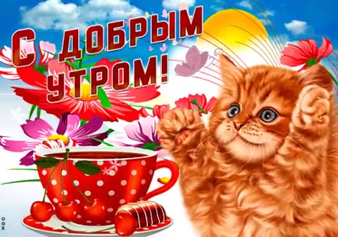с дрбрым утром
