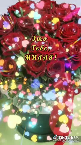 24dabc139b1f6c23f9aef246aff1655c