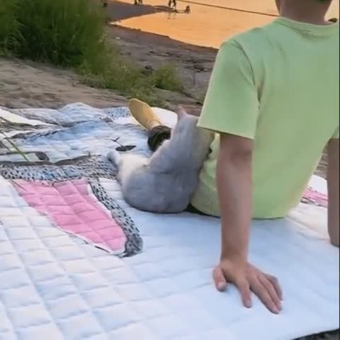 прекрасен мир