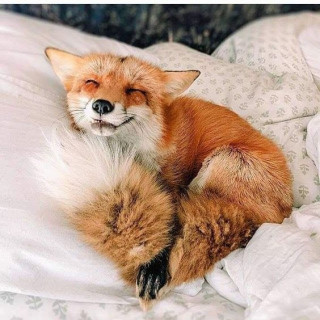ksxKp44_Fl4