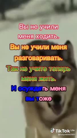 618cae302f7efb3e9ad12b758c7b76f2