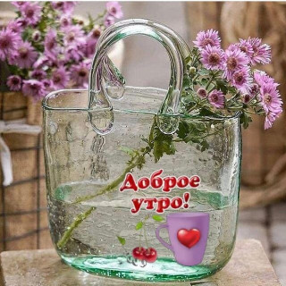 nadezdanadiysa-___CSWAEURqVhu___-