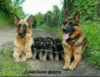 Wp_2021_08_16_23_19_43_1