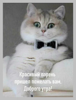 9HeL32_Czh4
