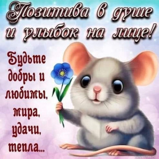 _smile_ua_-___CSo41cmsx5R___-
