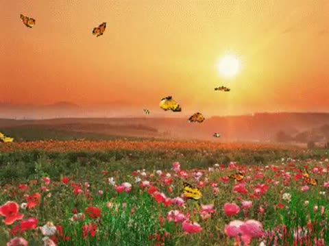 Рассвет не обманет