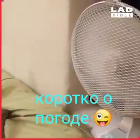 video-c8f4863ca964bd339e0ddc7d6fc00b0a-V