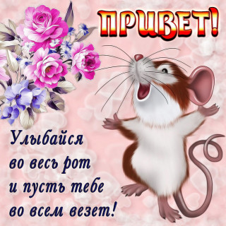sqhCVh1SnSo