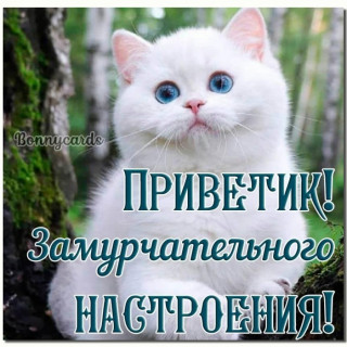 5GXHNZK5UNA