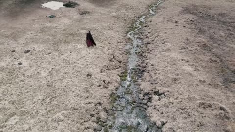 WARKINGS_-_Fight_Official_Video_Napalm_Records