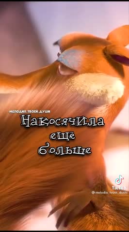 34e5c10df1349a7a332614fa98efd3e9