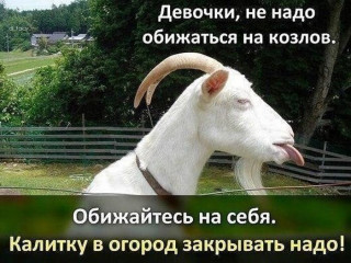 1624557506224_image-nashobmen_