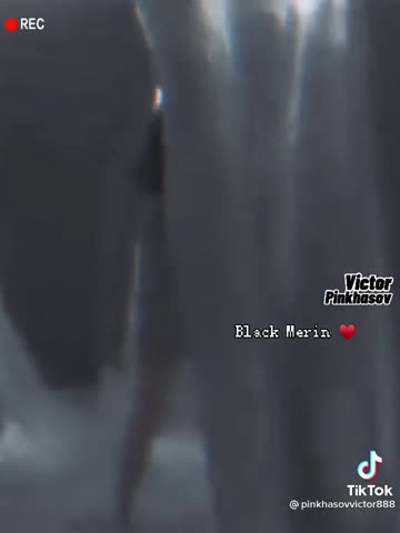 e228d97975a11aa5679b4a13633d43ca